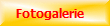 Fotogalerie